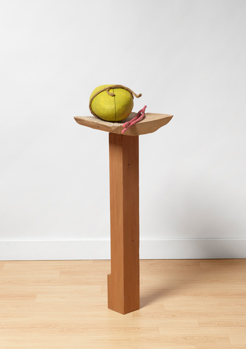 Long Goodbye, 2026, rigid foam, wood, cloth, acrylic, oil, rope, 14